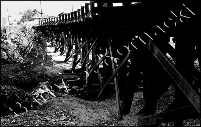 Train Trestle, black and white photograph