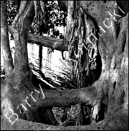 Banyan Tree, black and white photograph