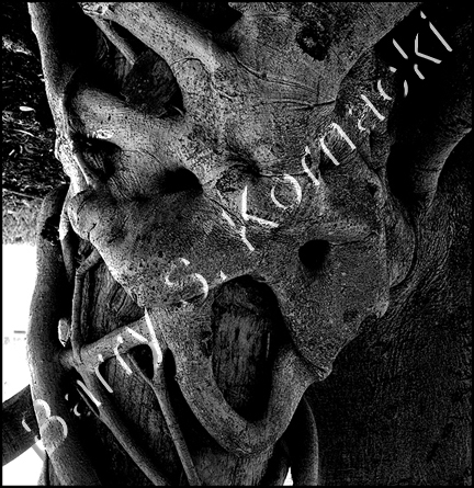 Tree Face, black and white photograph