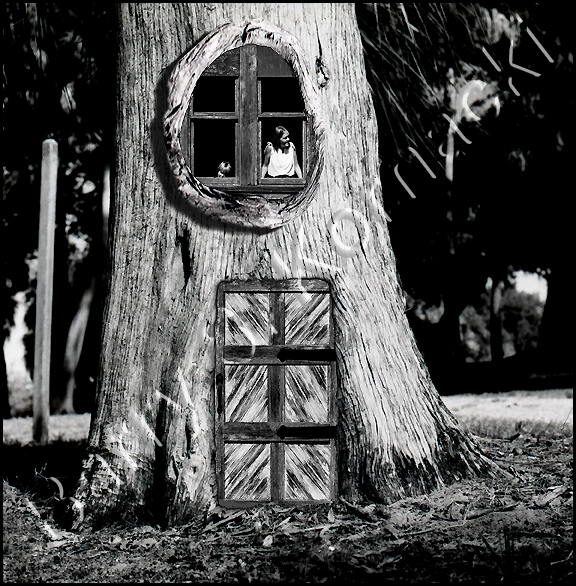 tree house, black and white photograph